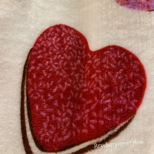 Deco Valentines HEART Donuts Soft Oversized Throw Blanket Home Decor 50"x70" New - 第 3/10 張圖片