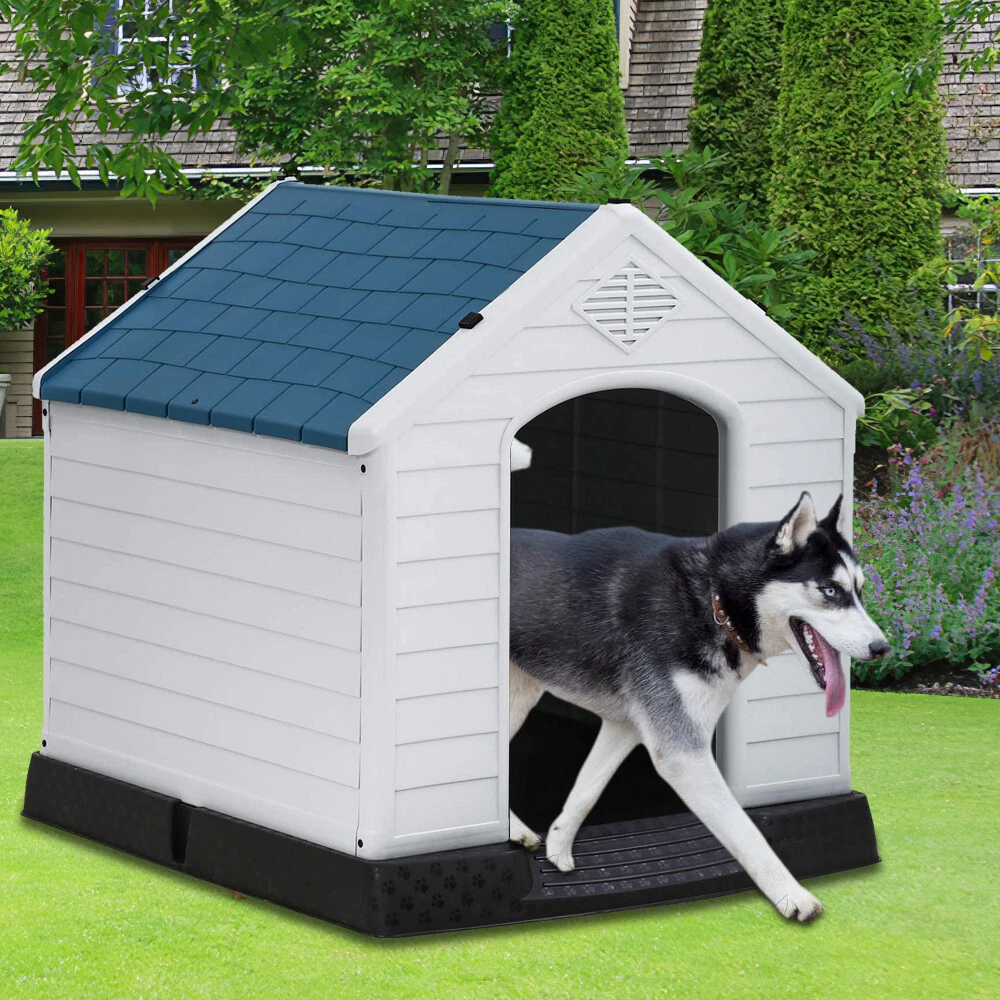 House kennels cheap