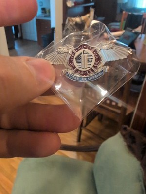 Federal Air Marshal 9/11 Pin
