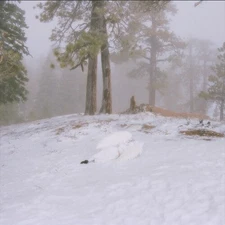 WISP - Pandora [New CD] Extended Play