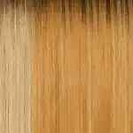 Outre Melted Hairline Synthetic Hair Glueless HD Lace Front Wig SAMIRA