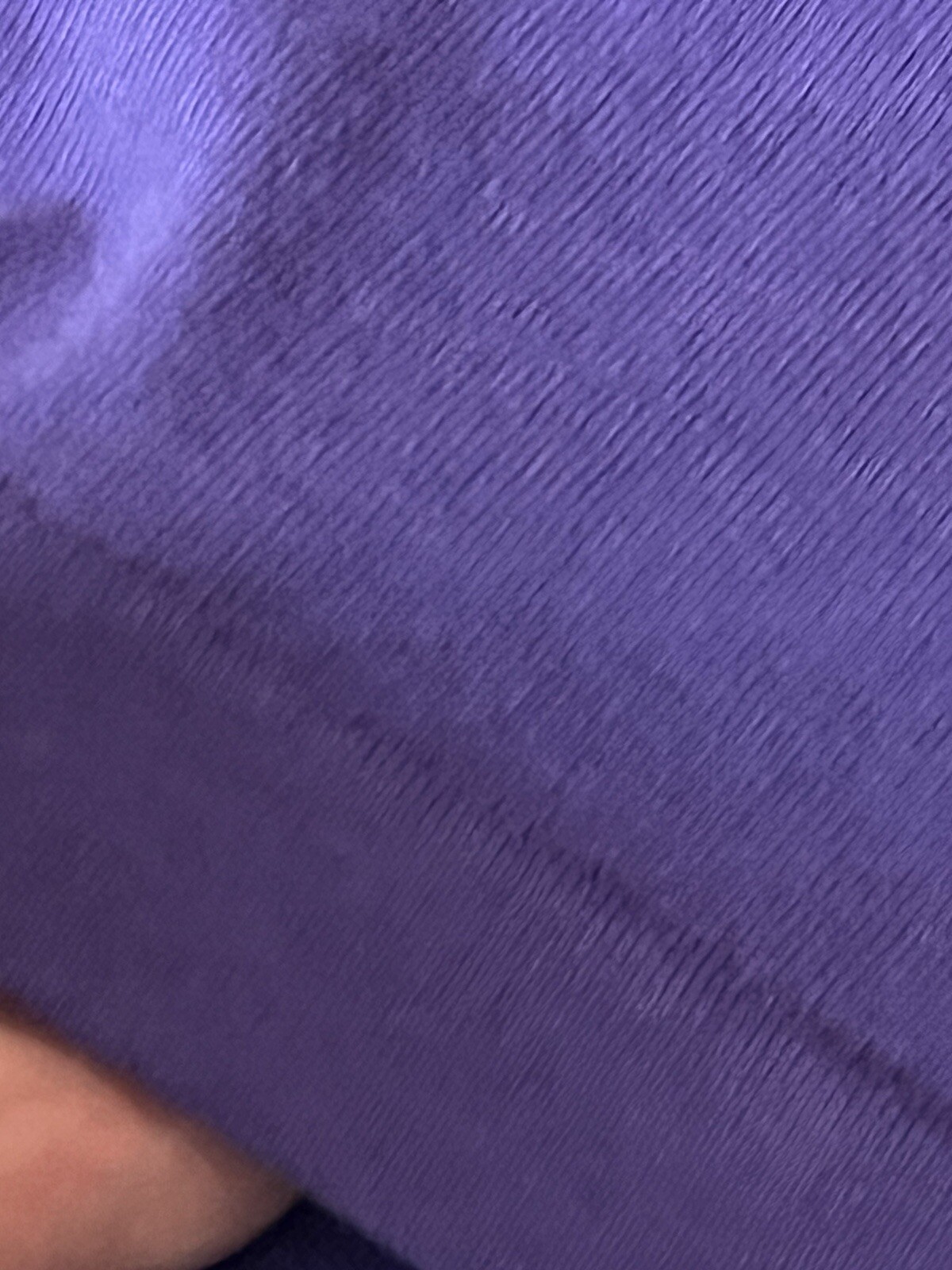 T shirt vintage Charleston South Carolina fila arcobaleno punto singolo taglia XL viola