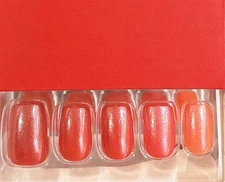 Red Aspen Christmas Short Coffin Glazed Red Ombré Poinsettia Pop, Pierette🎁