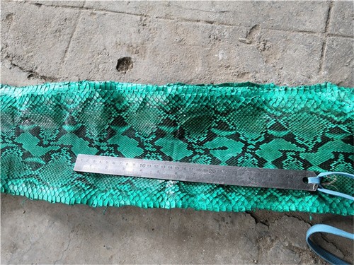 Genuine Snake Skin Hide Leather Craft Pelt Soft Snakeskin Glossy Print DIY Green - Picture 7 of 12