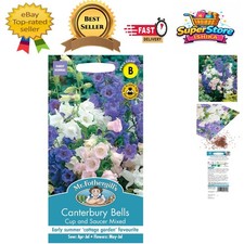 Mr. Fothergill's Canterbury Bells Mixed Seeds, 650 Count. Hardy & Easy to Grow
