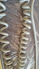 Bild 13 von 23
