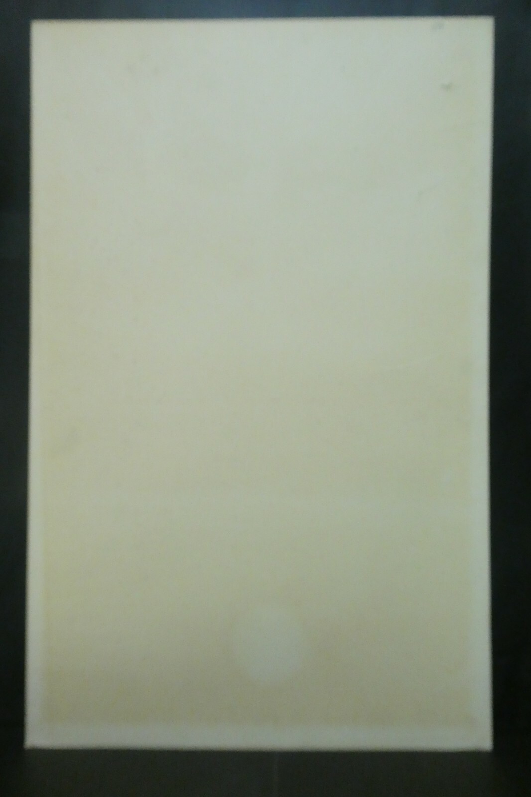 Picture 10 of 10