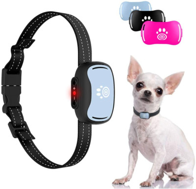 tiny dog bark collar