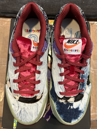 Concepts x Nike Air Max 1 SP "Mellow" - Niños Talla PS 3Y - Imagen 12 de 23