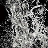 Monolith Ep Digisleeve Cd 2023, Musikalbum, Rock, Pop