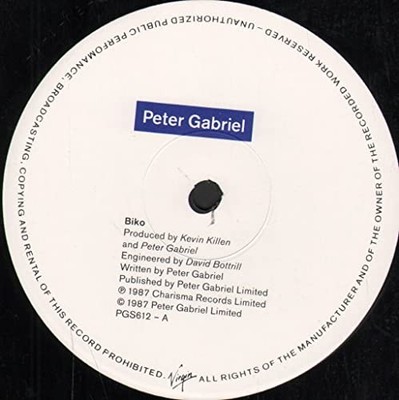 Peter Gabriel - Biko - Used Vinyl Record 12 - G5628z