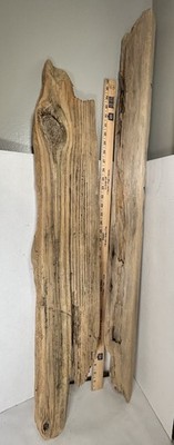 Driftwood Board/post 2 PieceMay Be Pine Wall Mount Taxidermy Art See Description