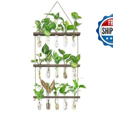 XXXFLOWER Wall Hanging Propagation Station 5 Glass Test Tubes 3 Tiered Wooden