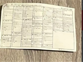 CASIO LOOPY SV-100 Game Console Complete Set Gray Tested Used Good Condition