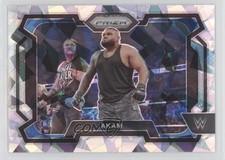 2024 Panini Prizm WWE Ice Prizm Akam #24 0nr3