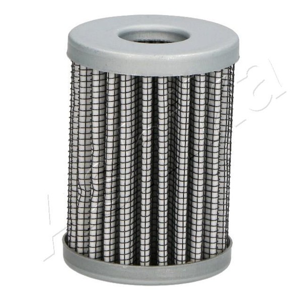 Kraftstofffilter Ashika 10-GAS1S Filtereinsatz FüR Ccn Peugeot Fiesta Suzuki CB1-image
