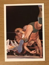 1988 WONDERAMA NWA WRESTLING #314 RIC FLAIR / RICKY MORTON NATURE BOY WWF WWE 2