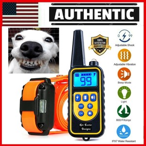 pet trainer remote