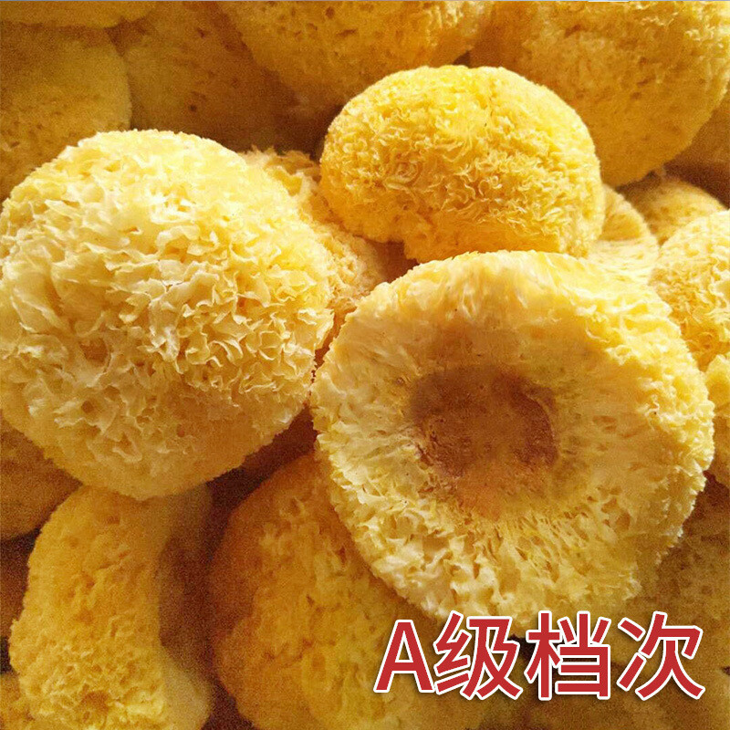 HelloYoung Tremella Fuciformis bola de hongos de nieve 100 g hongo comestible natural