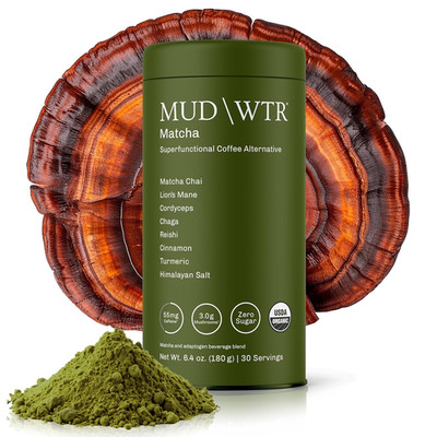 MUDWTR Mushroom Matcha Powder | 3,000mg Adaptogens for Energy & Focus