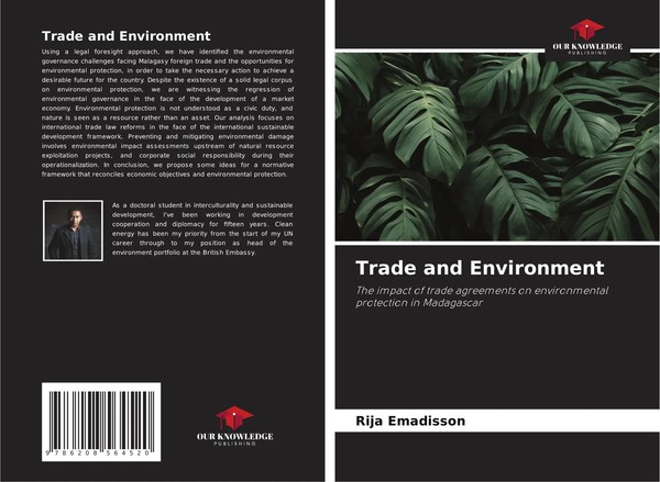 Rija Emadisson | Trade And Environment | Taschenbuch | Englisch (2025)-image