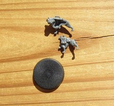 40K Astra Militarum Ratlings Battlemutt Bits