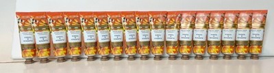 Beloved Pumpkin & Tonka Hand Lotion Limited Edition - Lot Of 17 - 1 oz Tubes NEW