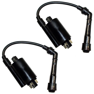 Bobina De Encendido De 2 Piezas Apta Para Ex500 500 500r 198 | Cuotas