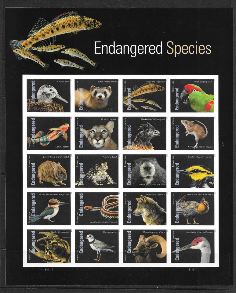 4th 3 IMPERF.  (NO DIE-CUT) 2023 Issues/ Panes of 20, MNH--5798a, 5799u, 5800m - Image 3 of 4