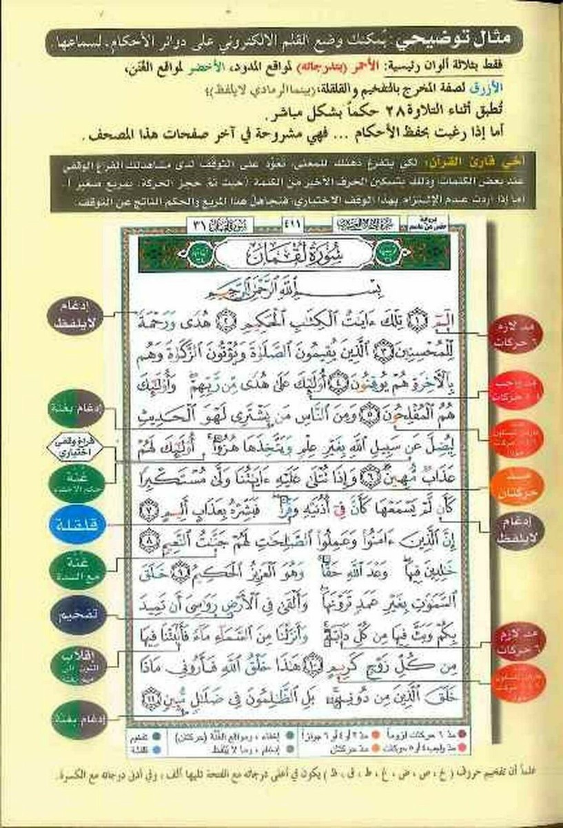 Holy Quran Colour Coded Tajweed - Deluxe Gold Edges, Beautiful Hard Cover - Arabic Edition
