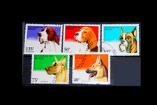 lot, série 5 timbres stamps chien berger boxer Bénin 1995 TBE ideal collection