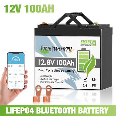 12V 100Ah Mini Smart Bluetooth Low Temp LiFePO4 Lithium Battery for Solar Marine