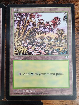 MTG ⭐Mirage Basic Land Set LP/VLP⭐ 5x Lands: 1x of each land