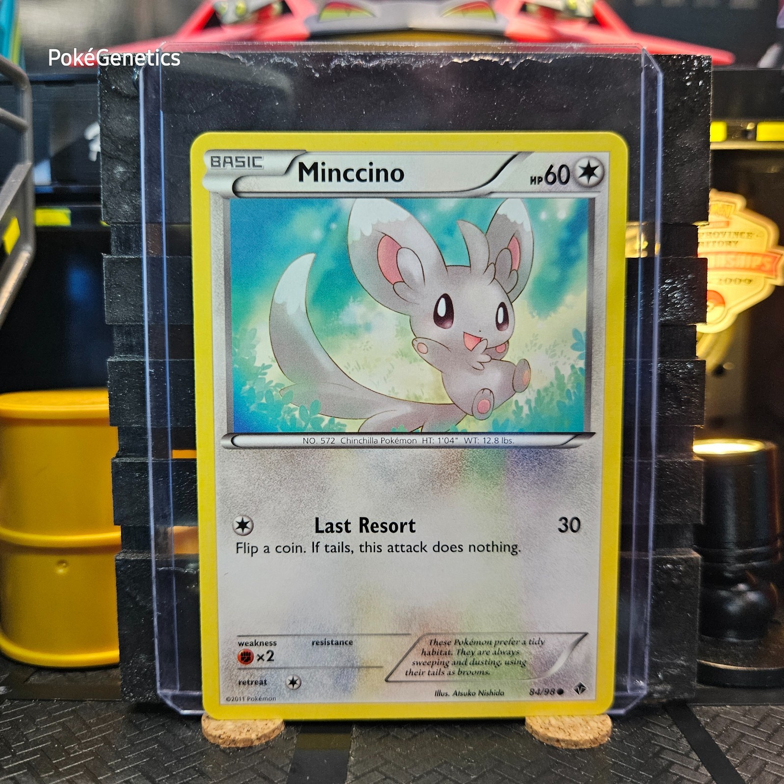 Minccino Emerging Powers Pokémon TCG 84/98 Black & White 2 Common