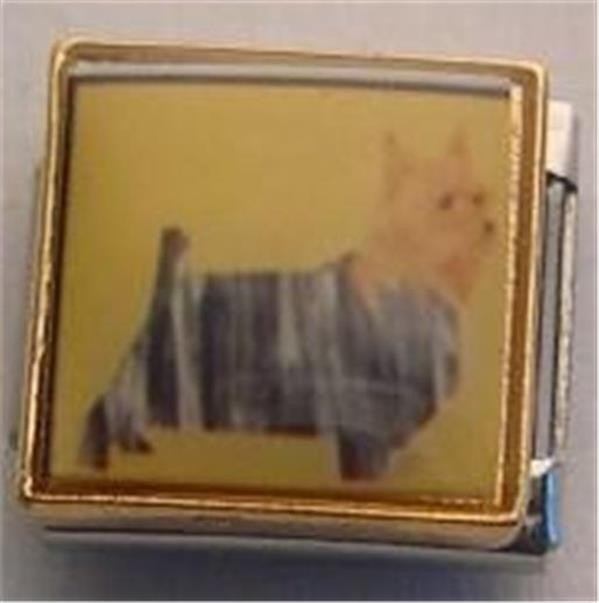 Foto 1 di 2