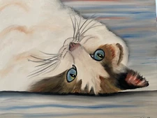 Original oil painting 11 x 14 inches white cat blue eyes-Free shipping 