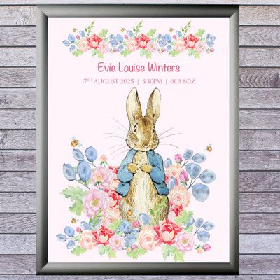 peter rabbit baby girl gifts