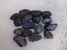 Anthracite Egg Coal 12 lbs +/-  Blacksmith Christmas Gag Gift Blacksmith 