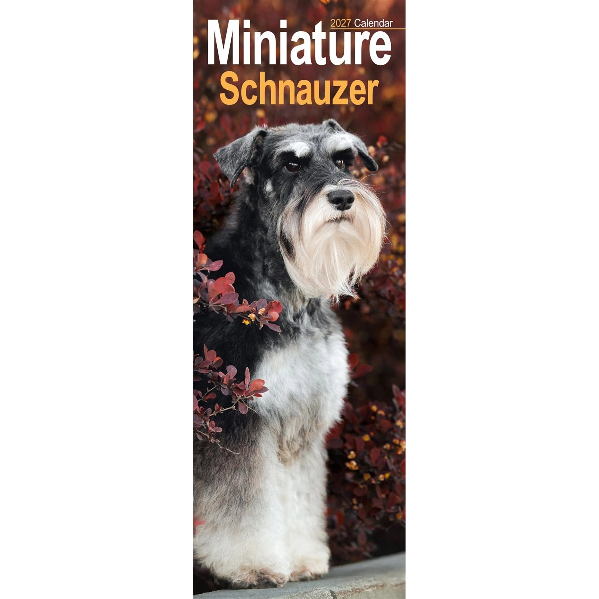 Miniature Schnauzer Slim Calendar 2027, Wall Calendars, Month To View, Gift