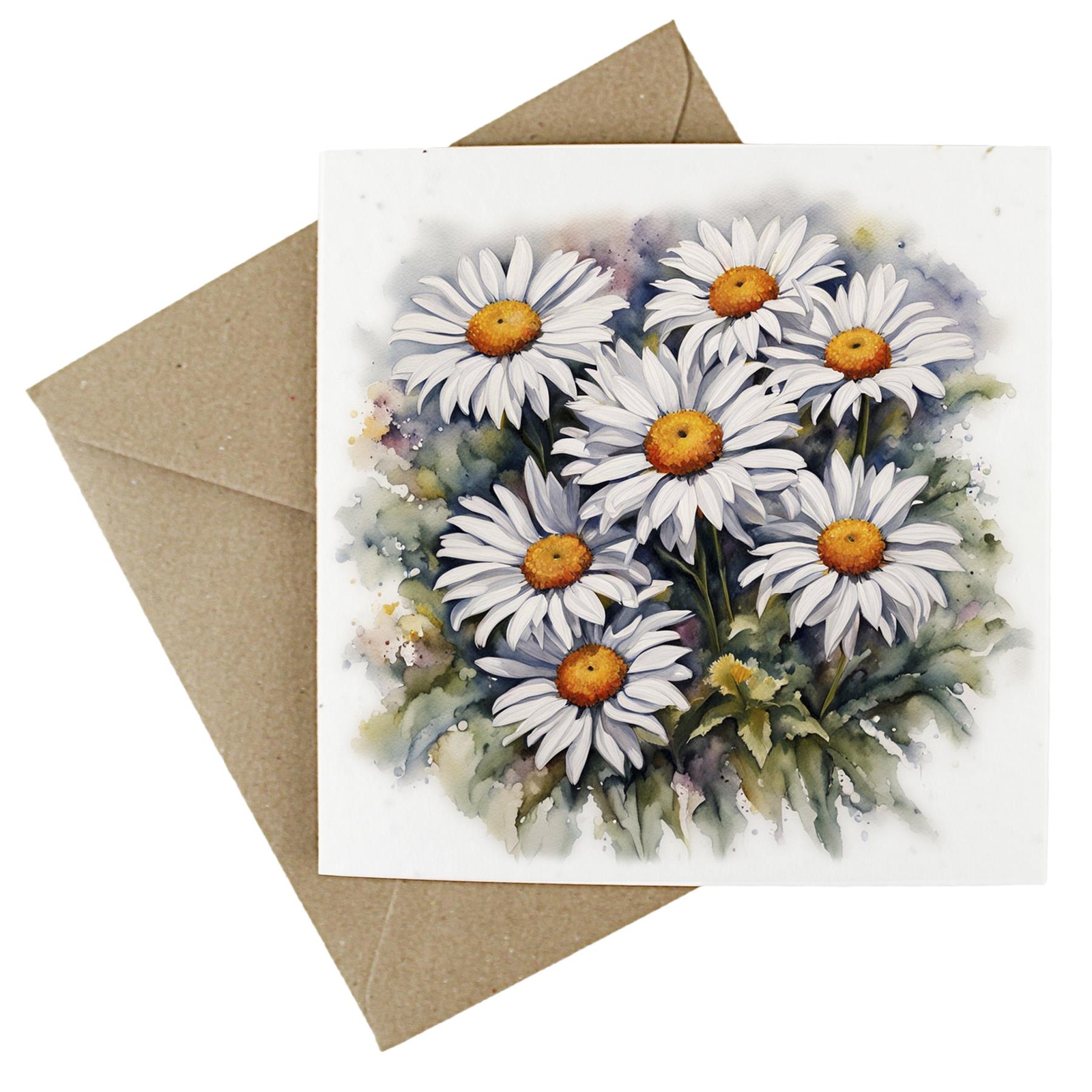 Floral Plantable Eco-Friendly Wildflower Greetings Card - Daisies Art Card
