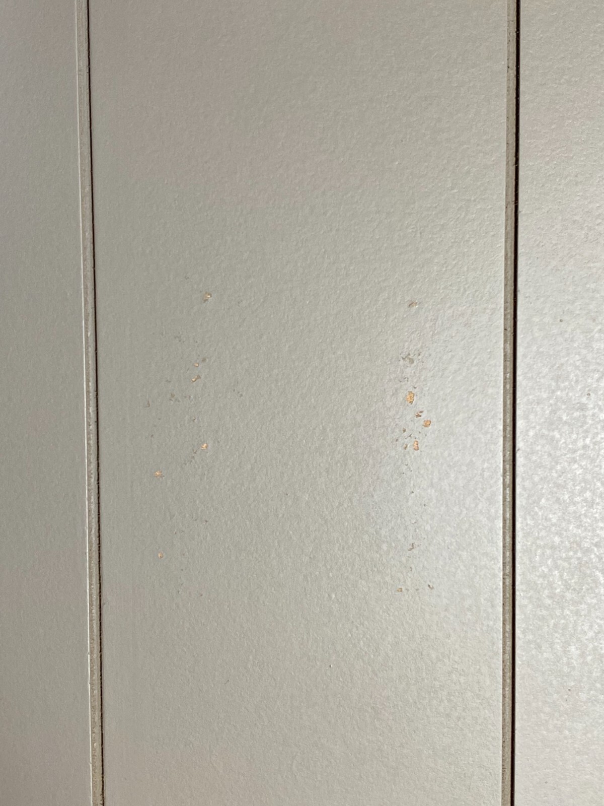 Picture 5 of 7