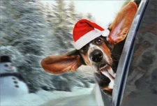 Bassett Hound Looking Out Car Window Cute Dog Nobleworks Christmas Card