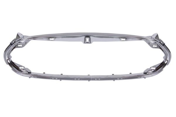 BLIC 6502-07-7707991P Trim/Protection Strip, radiator grille for TESLA