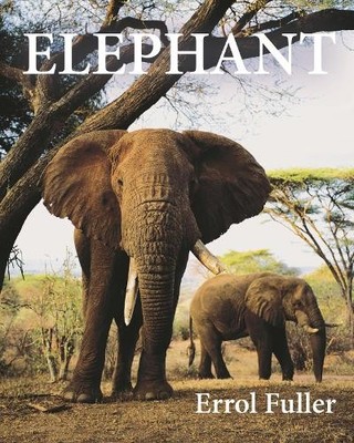 Errol Fuller Elephant (Hardback)