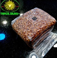 4lb Sterilized Grain Bag
