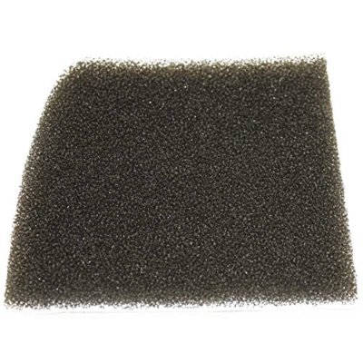 Genuine Carpet Pro CPU1T/CPU2T Secondary Filter SKU CMPS-SF