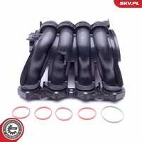 Esen SKV Saugrohrmodul 49SKV046 FüR CitroËN Peugeot
