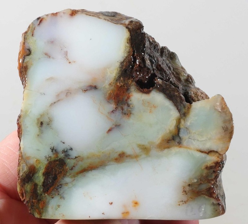 Turkey Dendritic Chrysoprase 9.4 oz. lapidary faced rough