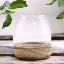 Terrarium Glas Deko Pflanzgefäß Sukkulente ...