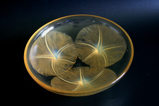 ANTICA CIOTOLA IN VETRO GIALLO RENE LALIQUE VOLUBILIS - CIRCA 1921